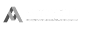 Logo Antonelli -Site